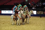 Quadrille - 00151